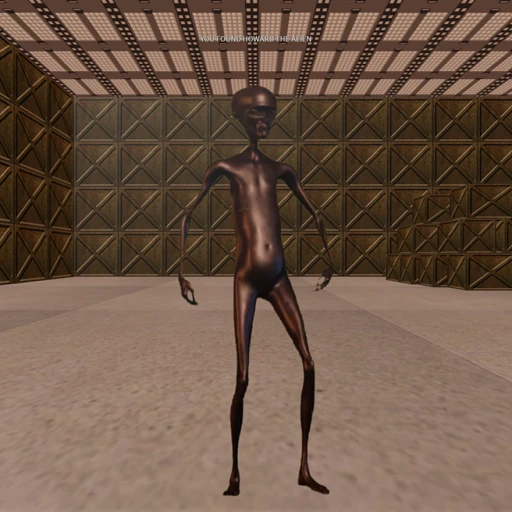 STORM AREA 51, THEY CAN'T STOP ALL OF US