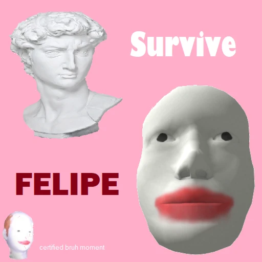 Survive FELIPE 