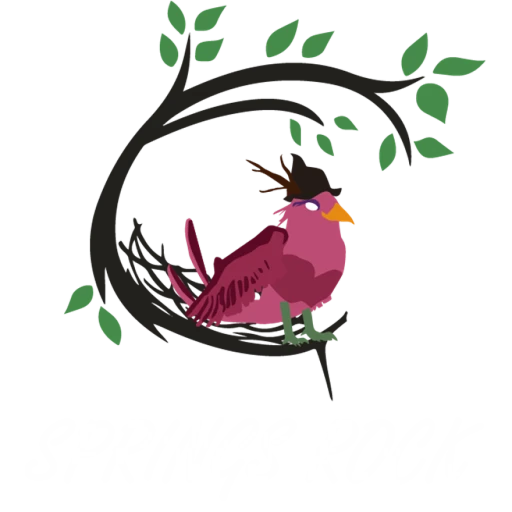 Springs Rock 2018