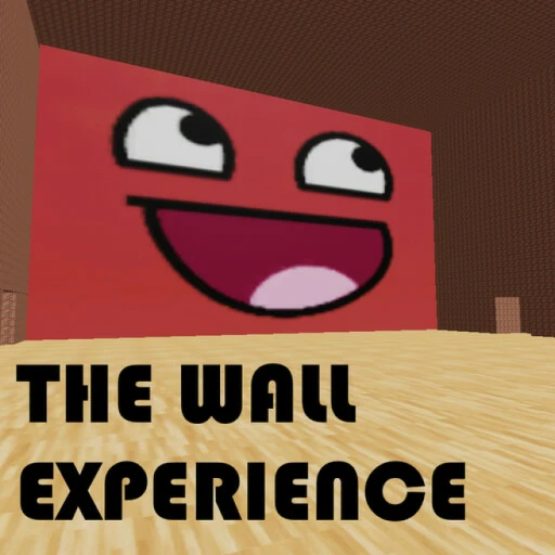 The Wall Experience