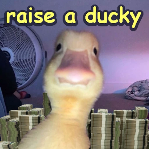 RAISE A DUCKY 💰🦆