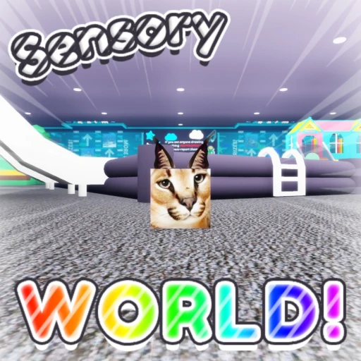 [⭐] Sensory World!