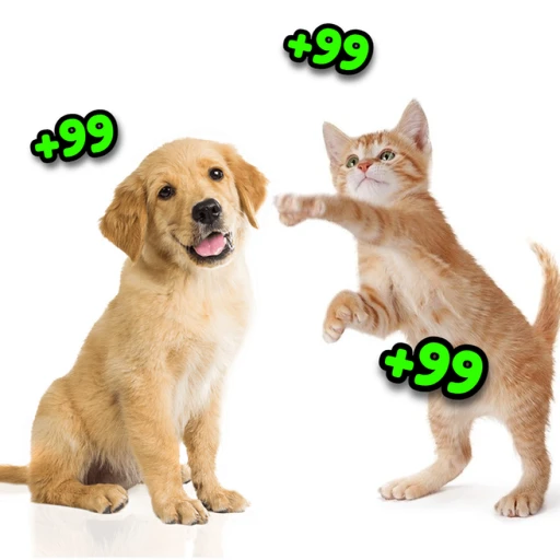 Pet Duel Simulator