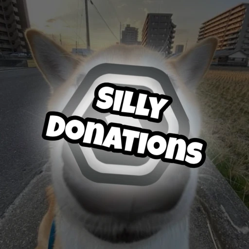 Silly Donations