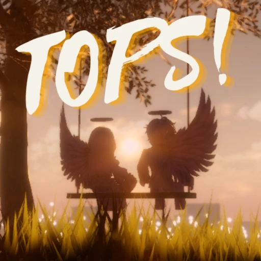 [CARRY SYSTEM] TOPS!