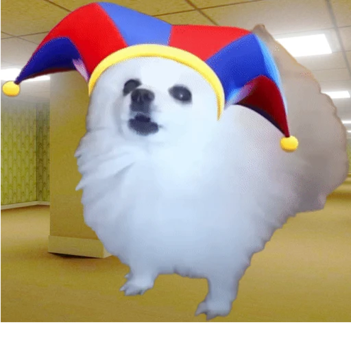 Amazing Circus Dog Meme Backrooms