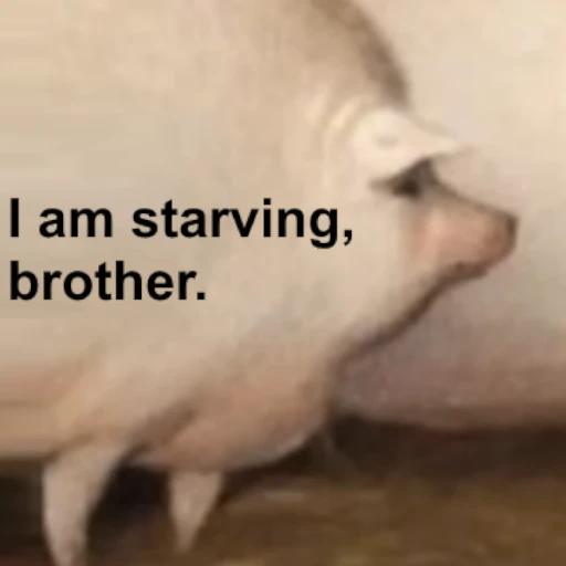 Brother, may I have some oats?