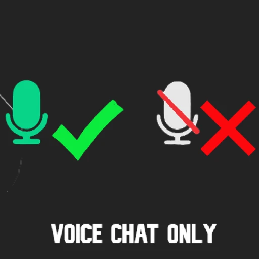 VOICE CHAT ONLY 🎇
