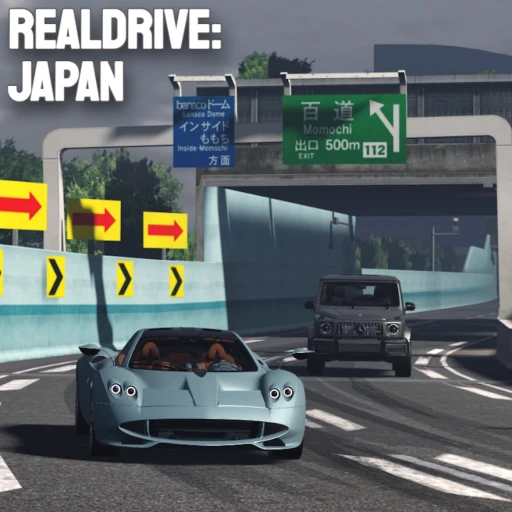RealDrive: Japan