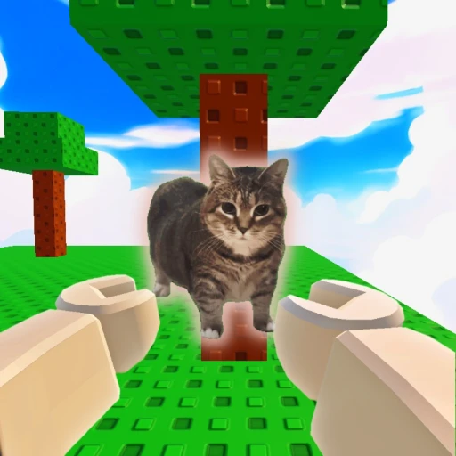 Find OIIA Cats! 🐈