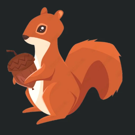 Squirrel🐿️