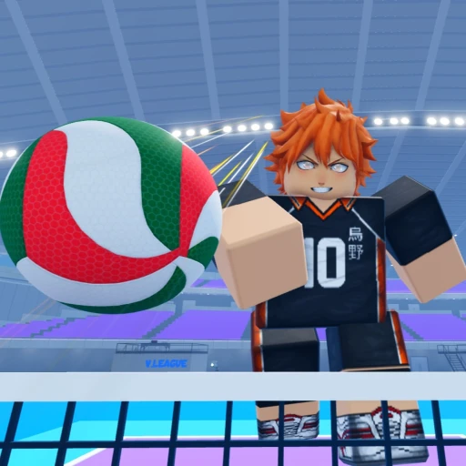 Own Volleyball and Prove Mom Wrong