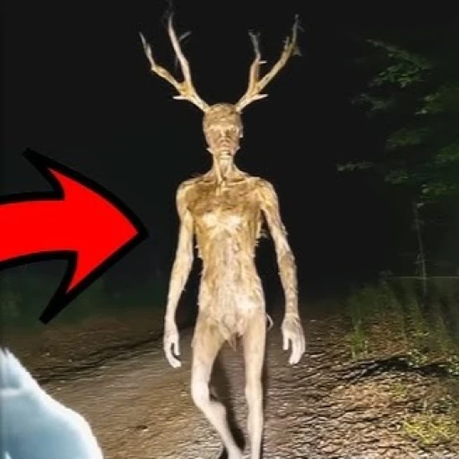 Jump Into 99 Nights in the Forest