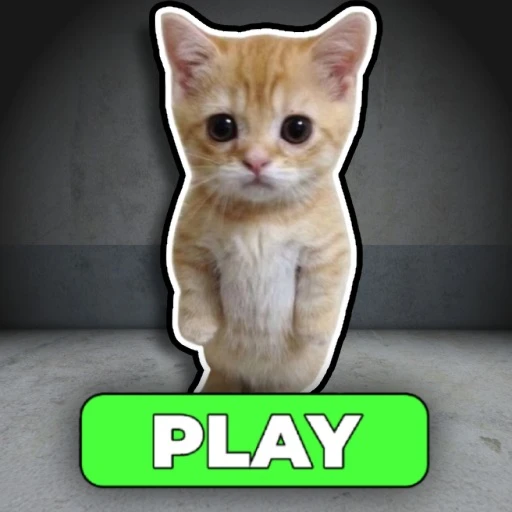 RUN FROM EL GATO! (OBBY)