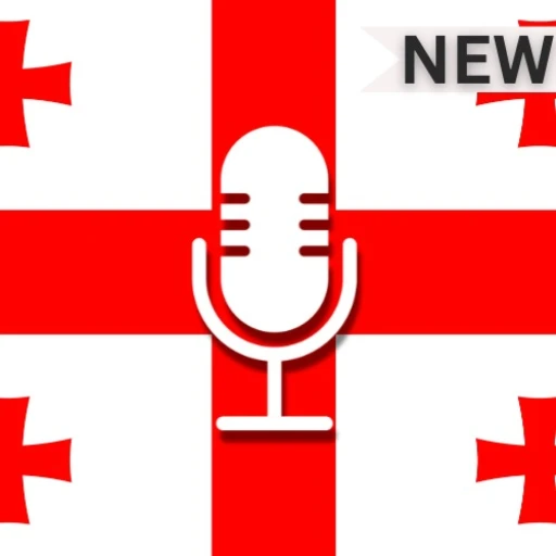 Georgia Voice Chat 🎙️