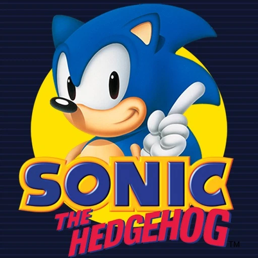 🦔 SONIC THE HEDGEHOG ELEVATOR 🔵
