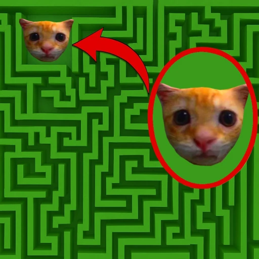 Escape El Gato Maze Obby