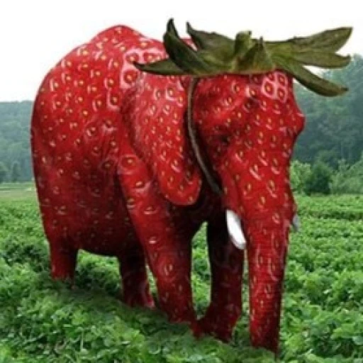 Jump Into Strawberry Elephant