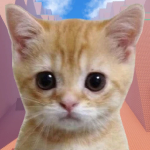 Climb a Mountain To Feed El Gato!