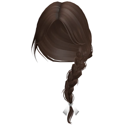 Long Braided Ponytail(Brown)