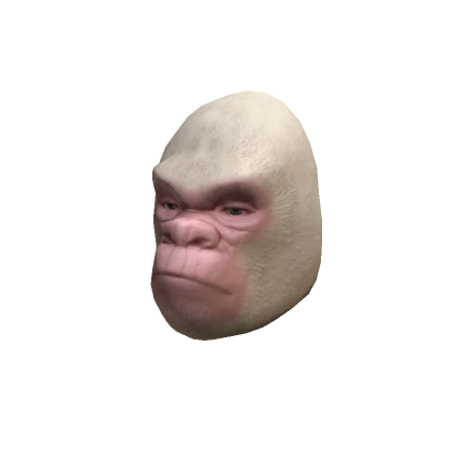 Albino Gorilla Head