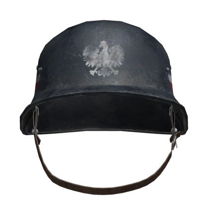 Helmet