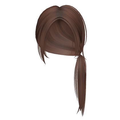 Messy Low Ponytail in Brown