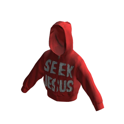 Seek Jesus Hoodie 4
