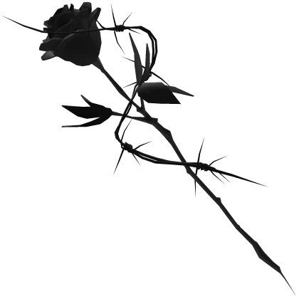Black Rose
