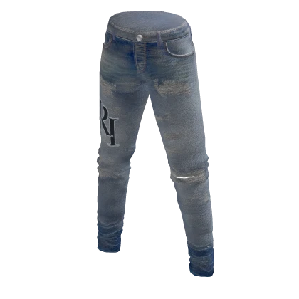 Designer Amir Denim Jeans