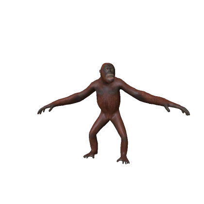 George The Orangutan Monkey Bundle