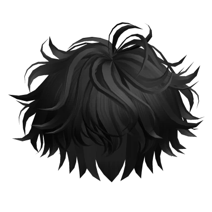 Black Curly Hair