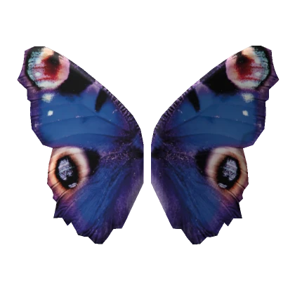 Butterfly wings blue