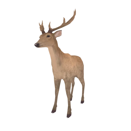 Nokotan Shikonoko Realistic Male Deer Pet (Right)