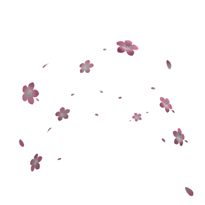 Pink Falling Blossoms [Flower Aura]
