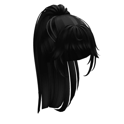 Black Ponytail