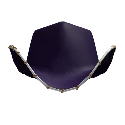 Miss All Sunday: Nico Robin's Cowboy Hat