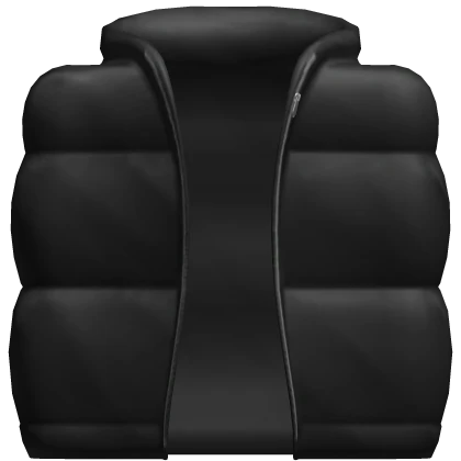  Black Puffer Jacket 