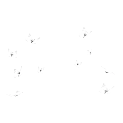 🦋 White Butterflies