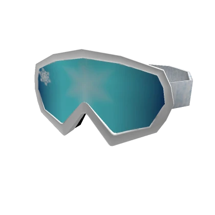 Ski Goggles