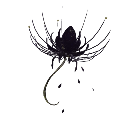 Night Spider Lily Parasol
