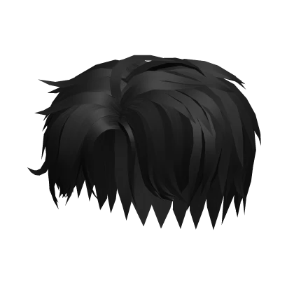 Cool Boy black Hair season 23