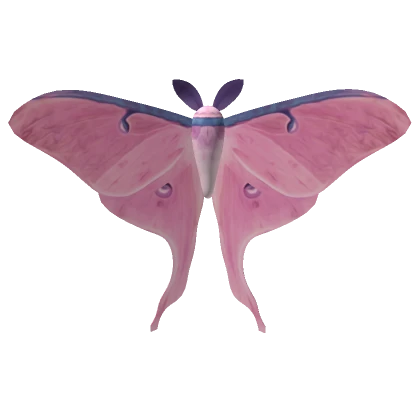 Luna Moth (Pink)