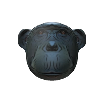 Chimpanzee Head