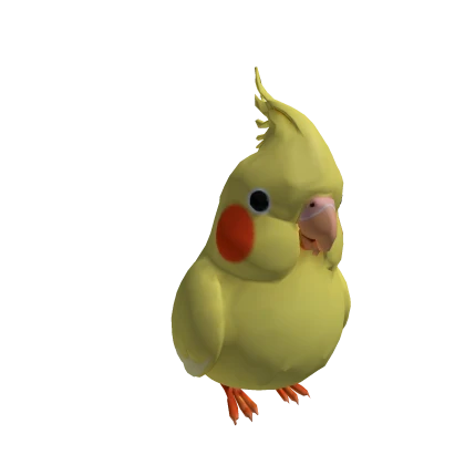 Cockatiel Bird (Right)