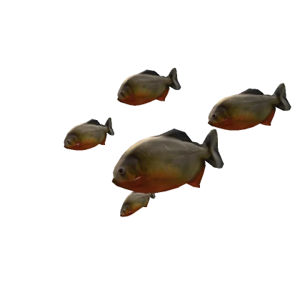 Piranhas