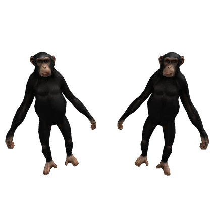 Two Monkey 🐒 Standing In Back Meme Funny Animal