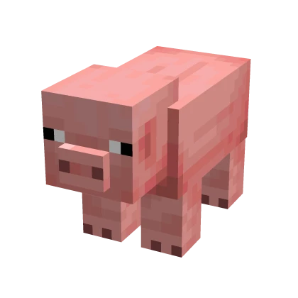 Mini Cute Pig