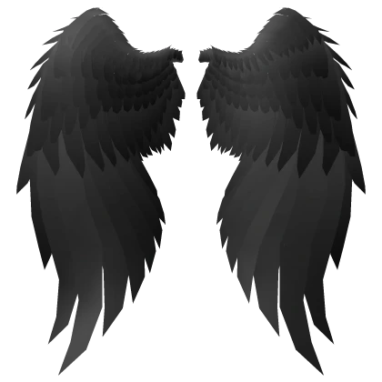 Black Angel Wings