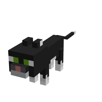 Mini Cat
